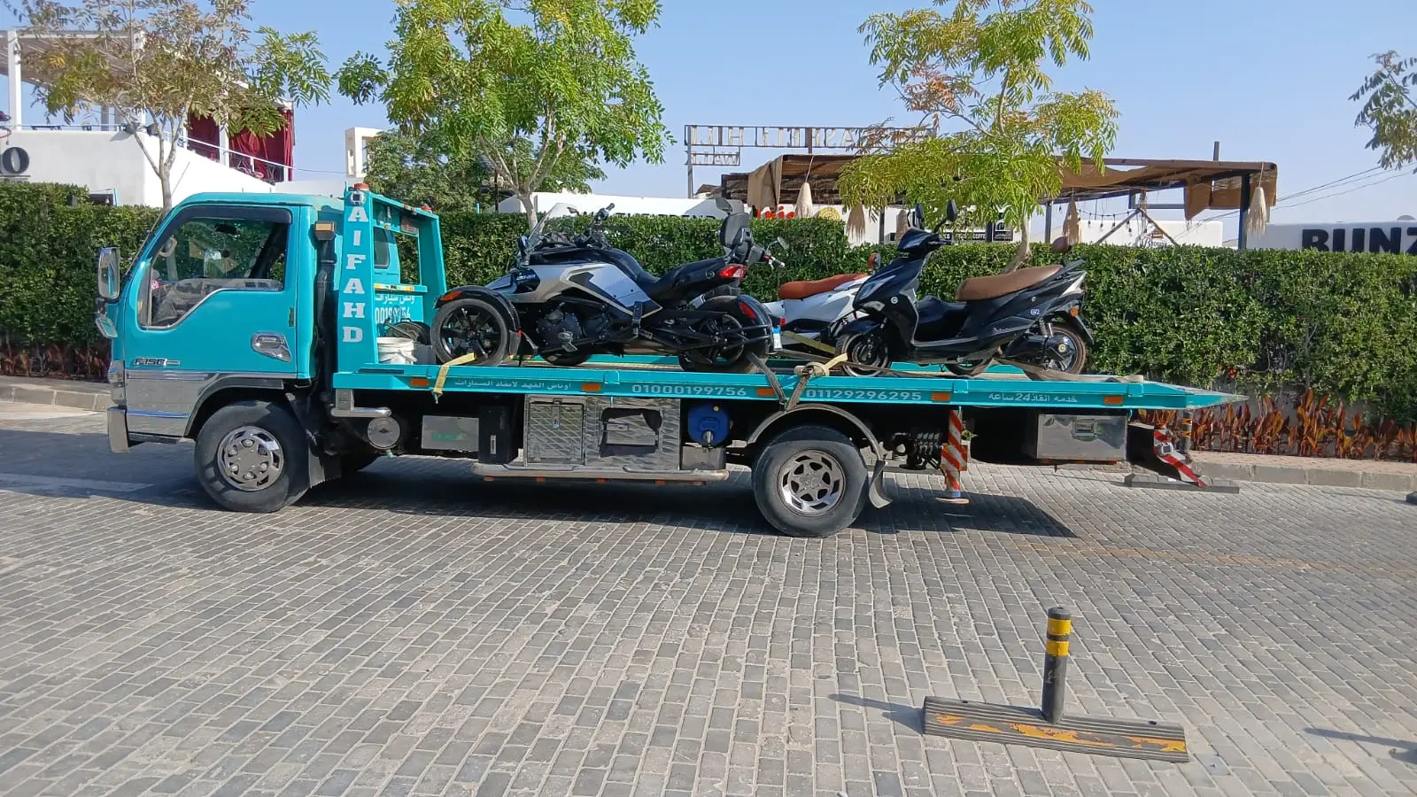 رقم ونش إنقاذ سيارات في الوادي الجديد
